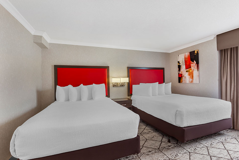 Suite - Deux grands lits Suite - Deux grands lits